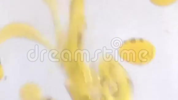 水中的黄色油视频的预览图