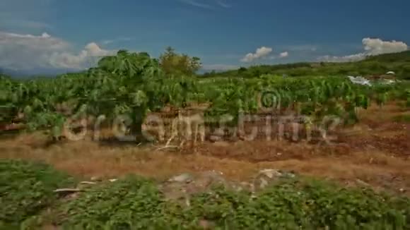 摄像机沿着农田移动到越南的天空视频的预览图
