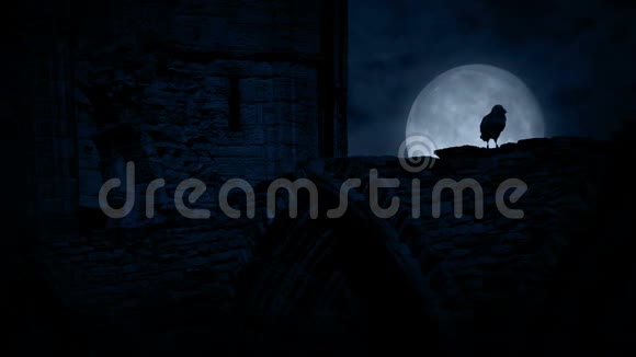 夜晚的老城堡废墟上的人群视频的预览图