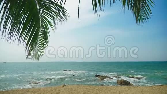 白色热带海滩上的棕榈叶背景是大海旅行背景视频的预览图