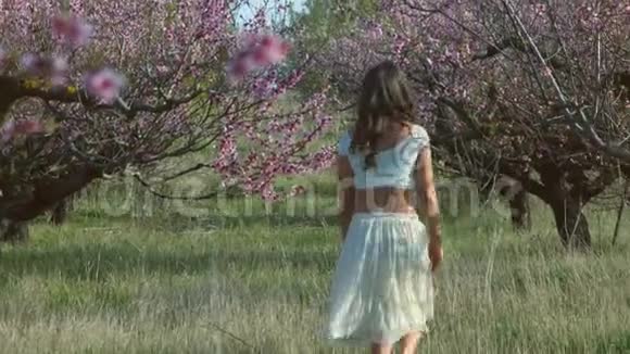 走在桃花园里的可爱女孩视频的预览图