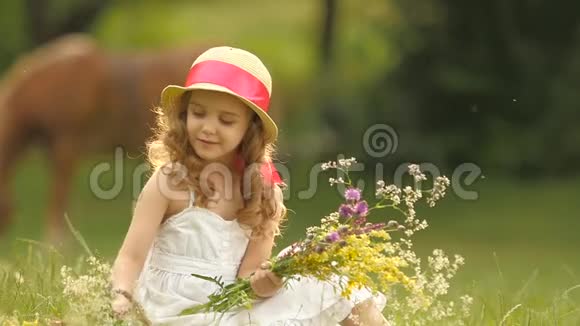 婴儿坐在一片草地上戴着一顶沙拉帆和帽子抱着野花和微笑慢动作视频的预览图