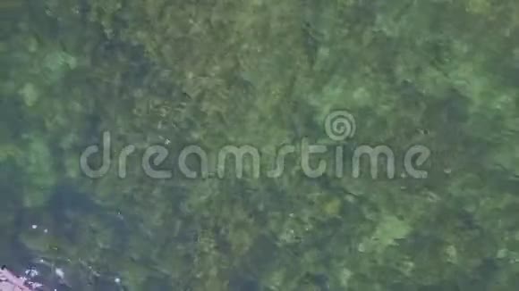 天桥秀女孩在阳光下的透明海洋游泳视频的预览图