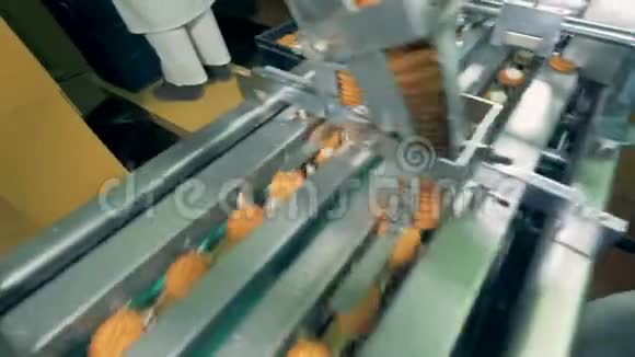 饼干是由一台工厂机器完成的视频的预览图