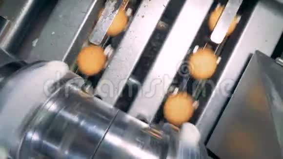 工厂机器在饼干上放置填充物的俯视图视频的预览图