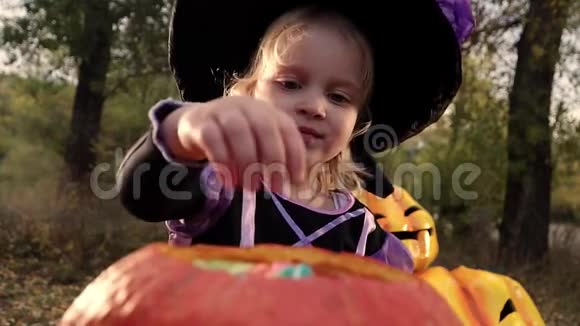 一个穿着女巫服装和帽子的小漂亮女孩从桶里拿出糖果秋天公园的万圣节视频的预览图