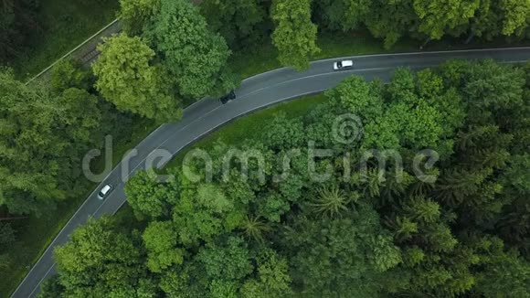 汽车在德国森林的美丽道路上行驶视频的预览图