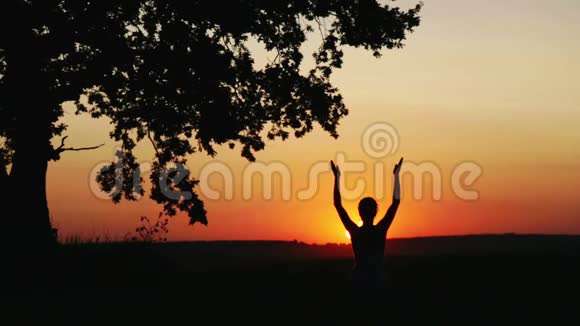 日落时分一棵大橡树旁的女人视频的预览图