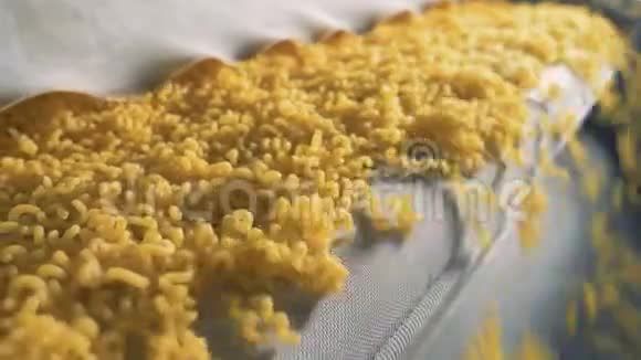 螺旋通心粉在食品场的传送带上面食通心粉面条意大利面生产线视频的预览图
