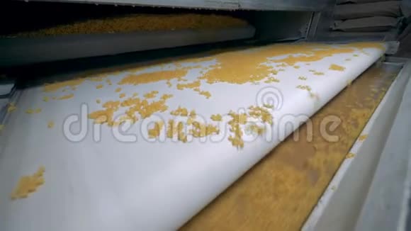 面食通心粉面条意大利面生产线新生产的通心粉正在几条传送带之间移动视频的预览图