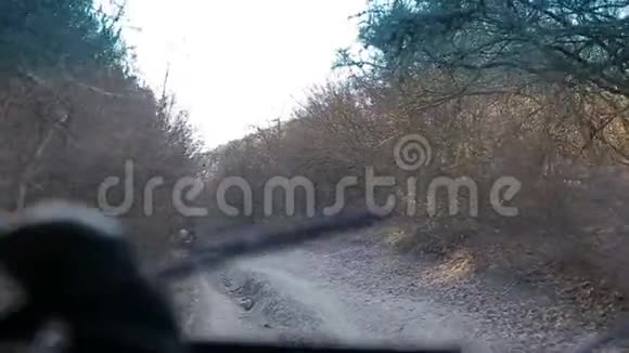 在森林里开越野车开老式越野吉普车越野车的平滑镜头照相机视频的预览图