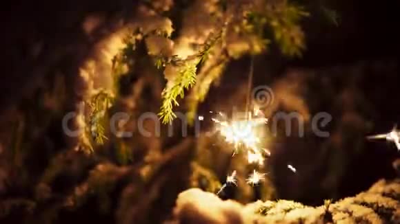 圣诞节的时候在雪树下美丽的星星之火视频的预览图
