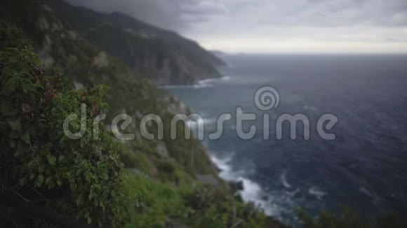意大利CinqueTerre海岸线岩石丘陵上生长的植物景观视频的预览图
