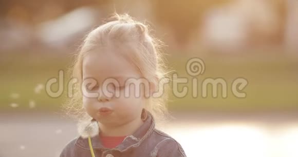 散步时吹蒲公英的小女孩视频的预览图