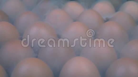 冻存鸡蛋冻存鸡蛋冻存鸡蛋视频的预览图