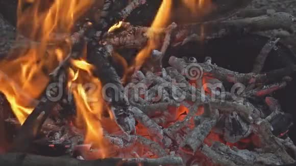 美丽的特写营地消防视频山毛榉木材燃烧壁炉充满木材和火流移动高清视频视频的预览图