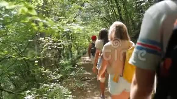年轻的徒步旅行者朋友在森林的小径上行走带背包旅行的青少年的后后视图高清高清视频的预览图