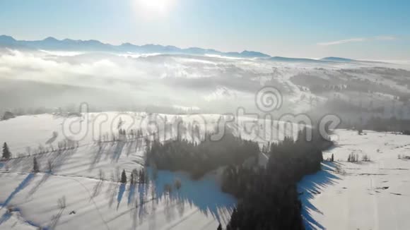 雾霭中的树木和明亮的阳光下的山间雪谷的无人视野视频的预览图