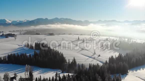 雾霭中的树木和明亮的阳光下的山间雪谷的无人视野视频的预览图