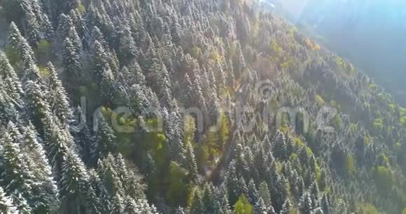 4k无人机空中拍摄的冬季蒙大拿路穿越松林视频的预览图
