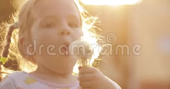 散步时吹蒲公英的小女孩视频的预览图