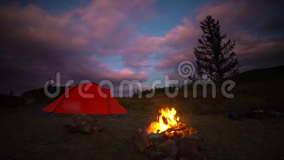篝火和日落露营晚上的时间森林的背景视频的预览图