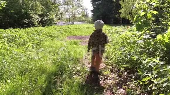 男孩在草地上用网捕蝴蝶视频的预览图
