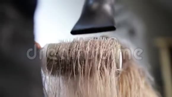 头发吹干最好的技术沙龙头发治疗由合格的理发师视频的预览图