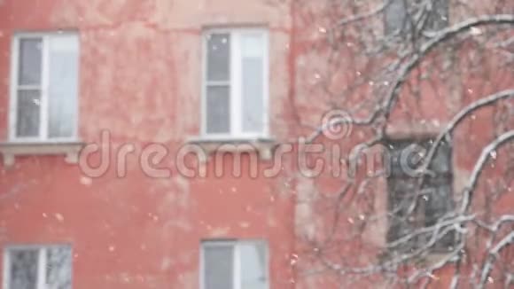大雪白色的雪花在树的背景上视频的预览图