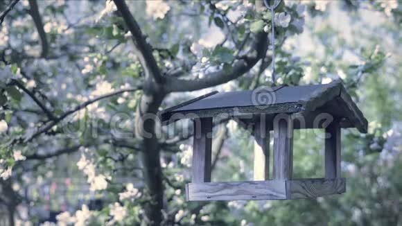 有鸟箱的树木制鸟食器苹果花视频的预览图