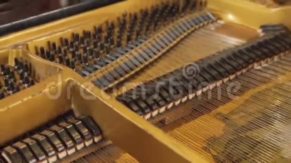 钢琴的内在机制机制音乐视频的预览图