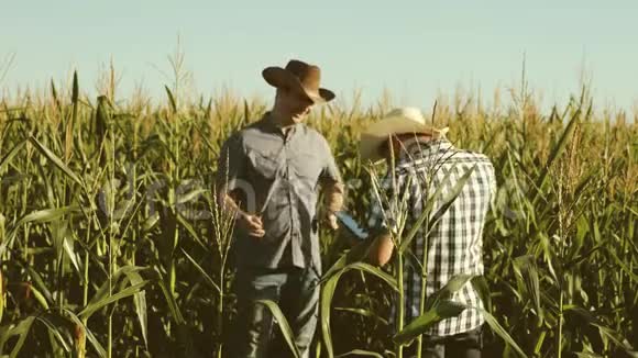 一位农民和一位农学家视察了一片开花田和玉米芯农业经营的概念商人视频的预览图