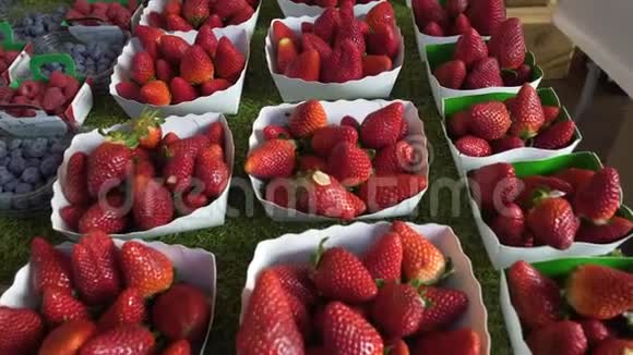 有机食品店出售的浆果种植园的新鲜草莓市场视频的预览图