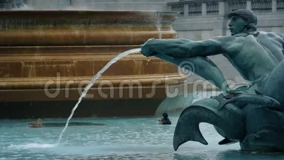 大型老水喷泉与鸭子视频的预览图