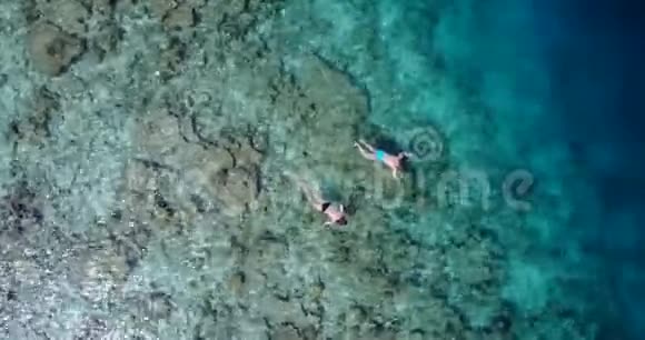 V06466飞机飞行无人机观马尔代夫白色沙滩年轻人在阳光明媚的水下浮潜视频的预览图