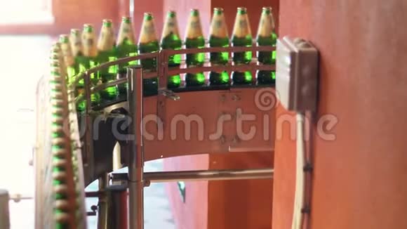 传送带上的绿色瓶子啤酒装瓶机在啤酒厂工作视频的预览图
