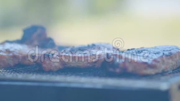 户外烤架上的烧烤牛肉视频的预览图