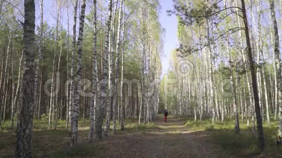浪漫的年轻人在秋天的森林里带着吉他走在路上吉他手在桦树林旅行穿皮衣服的视频的预览图