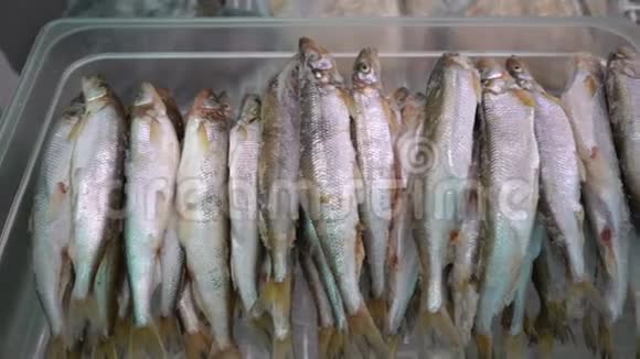在海鲜市场的柜台上可以看到很多冰冻的有香味的鱼视频的预览图