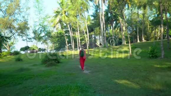从后面看女人旅行者热带岛屿那个女人背着背包走路岛上高大的棕榈树视频的预览图