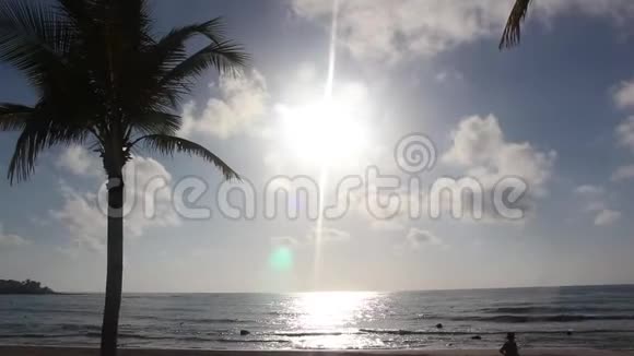 棕榈树朝朝朝海滩晨视频的预览图