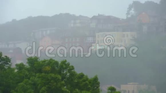 在大雨和风下的树木上观看北方地区的风暴概念飓风概念视频的预览图