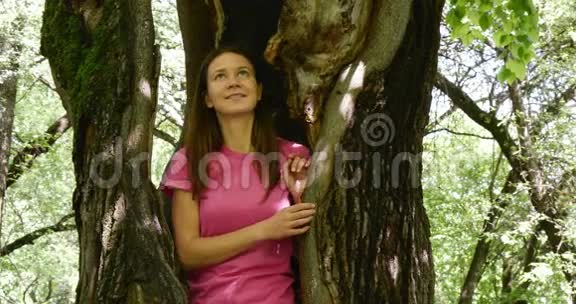 一棵大树里的女人视频的预览图