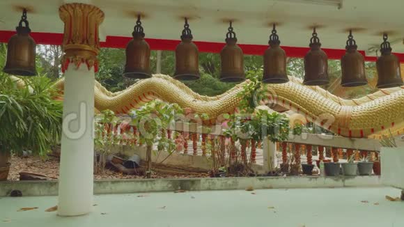 金佛寺前的钟蛇龙观视频的预览图