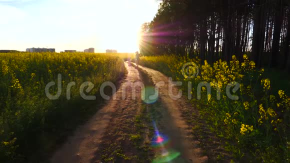 时尚快乐的女孩在夕阳的光芒下沿着道路奔跑生活方式幸福视频的预览图