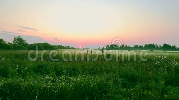 农村的景象是一片田野和干草在绿色的田野上收割过冬剪下的绿草地平线上的日落绿色视频的预览图
