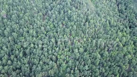 空中无人机飞过北欧森林在4K中被击中视频的预览图