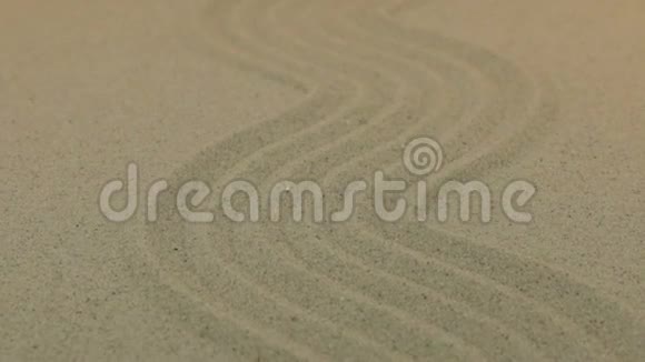 特写接近的沙纹曲折视频的预览图