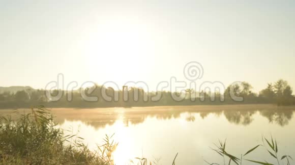 湖上黎明时分视频的预览图