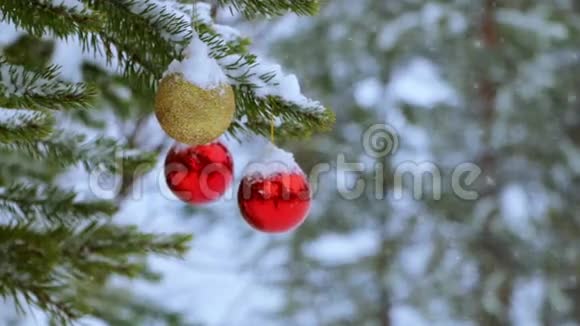 森林和降雪树上的圣诞球视频的预览图